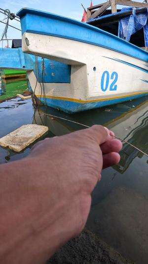 banyak orang meragukan cara ini #fishing #shrimp #fish #sea #traditional #usareels #UnitedStates #reelsviral #skils #fyp #trending