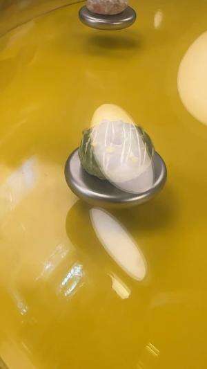 makan donut puter bikin pusing 7 keliling 