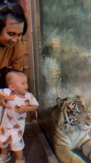 Edisi Zoo jedagjedug wkwk