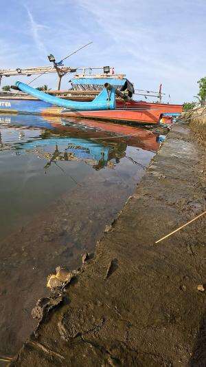 how to catch shrimp super fast and easy #fishing #usa #usareels #UnitedStates #unitedkingdom #denmark #canada