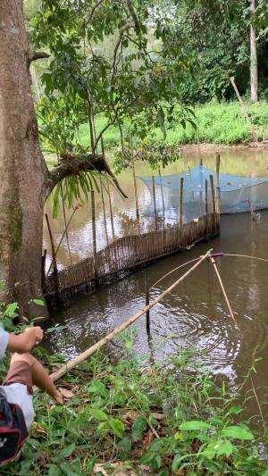 Ikannya banyak banget masuk