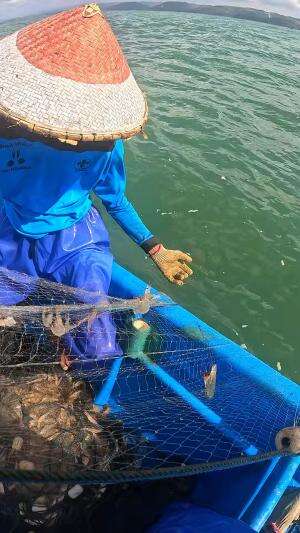 menangkap banyak udang sekali jaring  #nelayan  #jaringudang  #panenudang  #rezekinomplok  #viral  #trending #RCTIPlus 