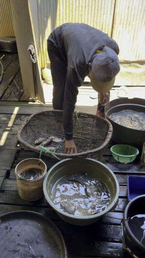 Ikan biawan seperti sendal