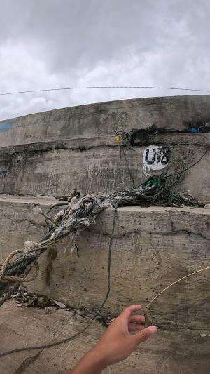 mancing udang babon #udang #nelayan #laut #jaring #ikan #fbpro #reels #reelsviral #duniaikan #skils #fyp #trending