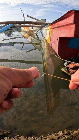 finally succeeded in catching shrimp #fishing #shrimp #fish #sea #traditional #usareels #UnitedStates #reelsviral #skils #fyp #trending