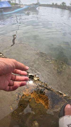 nyantel udang #udang #nelayan #laut #jaring #ikan #fbpro #reels #reelsviral #duniaikan #skils #fyp #trending