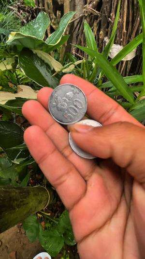 Panen ikan modal seribuan