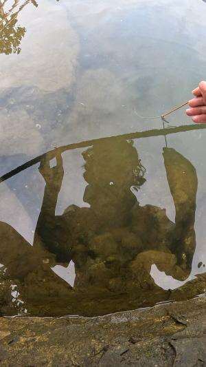 teknik mancing udang