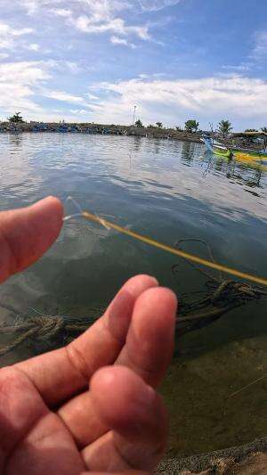 hobi waktu kecil dulu #udang #nelayan #laut #jaring #ikan #fbpro #reels #reelsviral #duniaikan #skils #fyp #trending