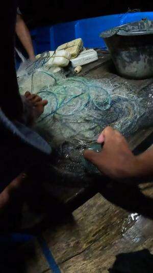 susah banget nangkap ini ikan