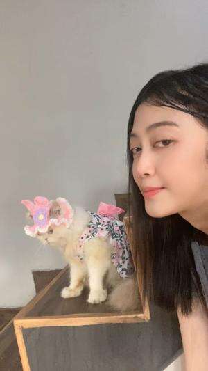bujuk kucing main  #Kucing 