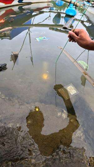 traditional shrimp hunting technique #fishing #shrimp #traditional #usa #usareels #UnitedStates #unitedkingdom #denmark #canada