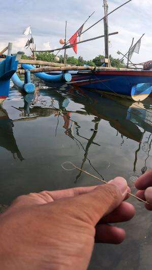 kita coba pancing udang gaes