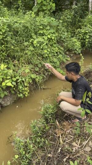 Mancing ikan puyau
