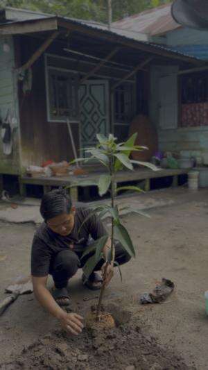 Menanam untuk masa mendatang