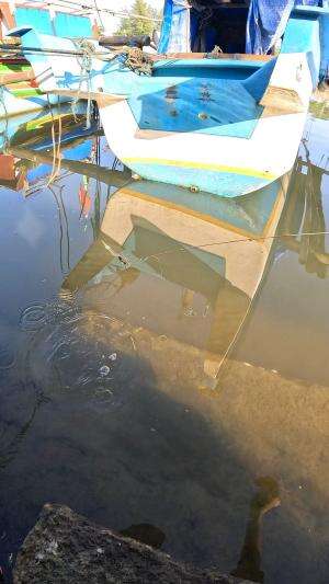 perhatikan inilah cara mancing udang  #trending  #RCTIPlus