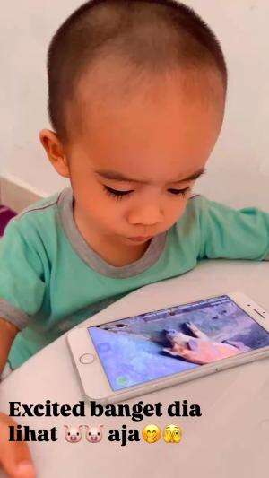 Semangat banget lihat binatang❤️❤️