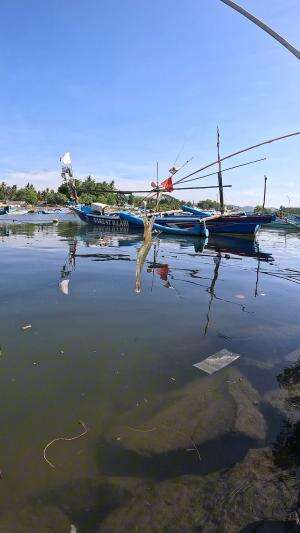 tutorial mancing udang #mancing #fishing #shrimp #udang #nelayan #laut #jaring #ikan #reelsviral #animals #skill #fyp #trending