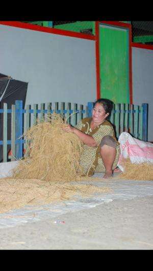 Ngonten malam malam #Photography  #inovasipertanian 