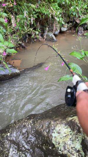 Ketagihan mancing liar pakai joran lentur