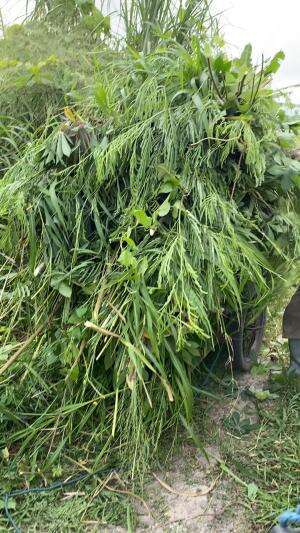 Bahagia itu sederhana😃🇮🇩🇮🇩😃