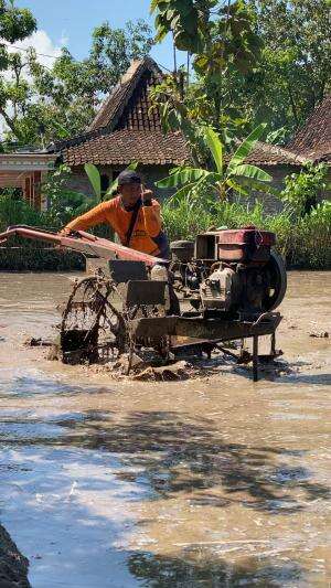 Cara membajak sawah dengan traktor tangan #traktortangan #sawah #pertanian