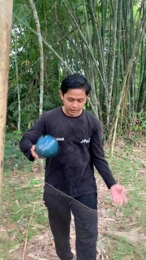 Panen ikan musim kemarau 