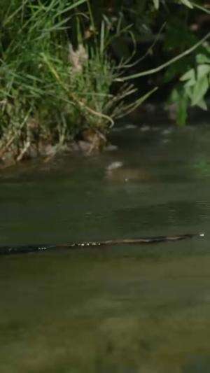 Casting ikan pakai umpan buatan