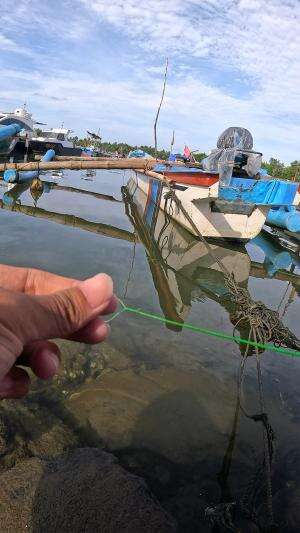 waduh ucul #mancing #fishing #shrimp #udang #nelayan #laut #jaring #ikan #reelsviral #animals #skill #fyp #trending