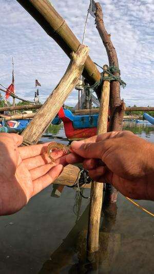 master penangkap udang ??