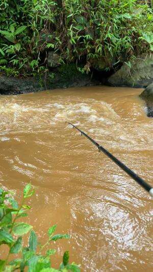 Nekat mancing setelah hujan ikan babon pada keluar #petualangan #mancing #mancingikan #musimhujan #cariikan