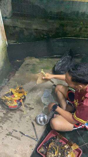 Bakar ikan 🔥