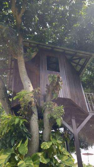 Hotel tempat kita nginep waktu di liburan ke cirebon nih , ada yang tau nama hotelnya ? 
#asalkotacirebon  #hotelcirebon #familyvacation #ho