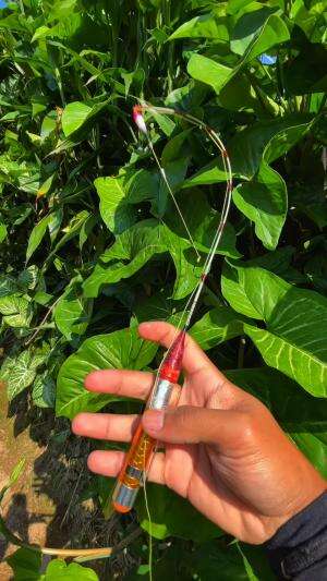 Nekat mancing pakai joran super kecil