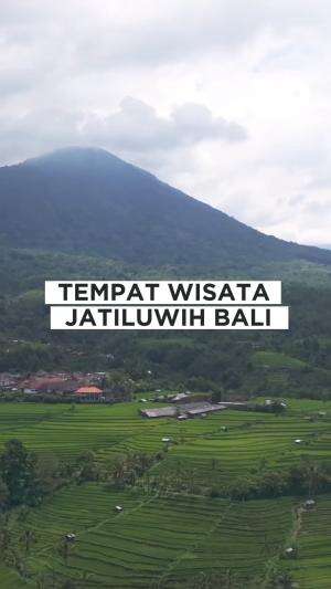 Tempat wisata jatiluwih Bali  #DENPASARBALI 