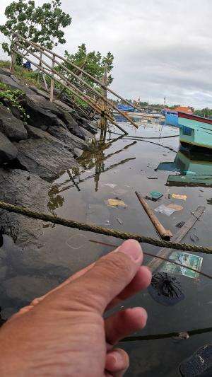 how to catch shrimp super fast and easy #fishing #traditional #usa #usareels #UnitedStates #unitedkingdom #denmark #canada