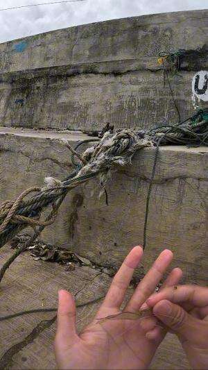 nyantel udang #udang #nelayan #laut #jaring #ikan #fbpro #reels #reelsviral #duniaikan #skils #fyp #trending