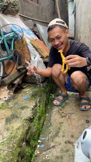 Jerapah dan rusa