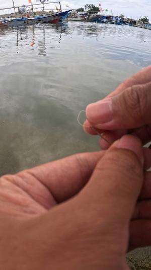 langsung dapat udang babon🦐 #udang #nelayan #laut #jaring #ikan #fbpro #reels #reelsviral #duniaikan #skils #fyp #trending