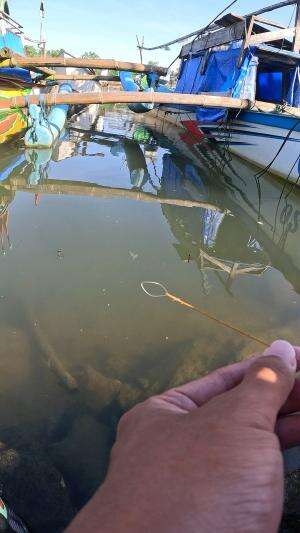 cara kita mancing udang #fishing #traditional #usa #usareels #UnitedStates #unitedkingdom #denmark #canada