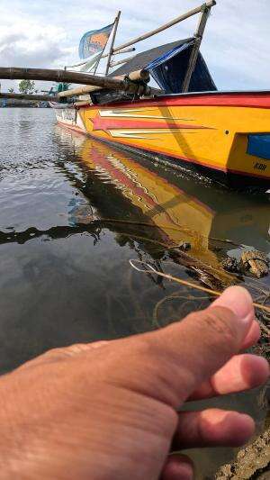 mancing udang hideung #mancing #fishing #shrimp #udang #nelayan #laut #jaring #ikan #reelsviral #animals #skill #fyp #trending