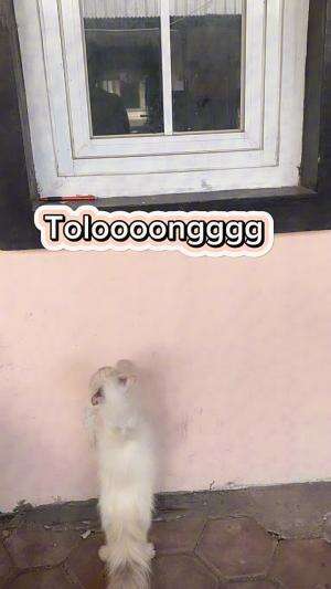 Akibat pup sembarang,jd tidur diluar