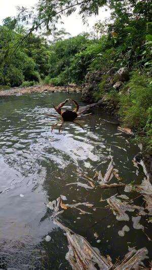 lah kok malah dapet kepiting #fishing #shrimp #fish #sea #traditional #usareels #UnitedStates #reelsviral #skils #fyp #trending