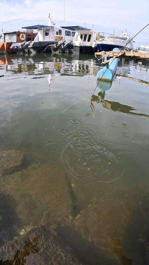 gak nyangka dapet udang besar ??  #RCTIPlus  #petualang  #mancing  #udang
