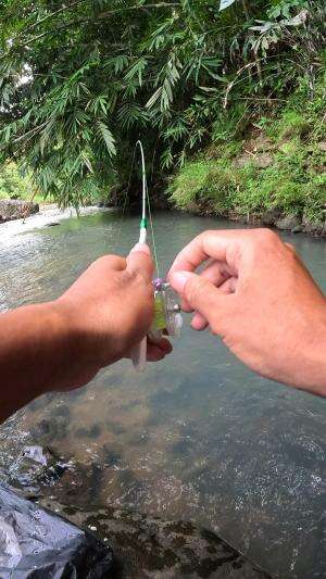 micro fishing #fishing #shrimp #fish #sea #traditional #usareels #UnitedStates #reelsviral #skils #fyp #trending