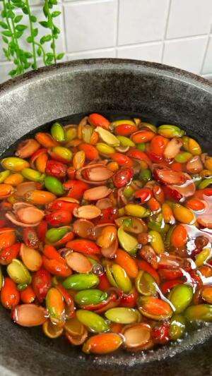 MENU MASAKAN RUMAHAN SIMPLE
“Tumis Kulit Mlinjo”
#Cooking #Menumasakanrumahan #Tips #Trik #Idejualan #Ummuhusna