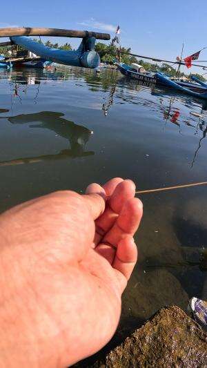 cara unik dan lucu mancing udang di pelabuhan