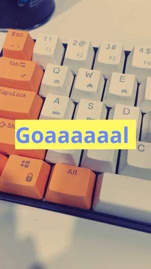 Goaaaal
