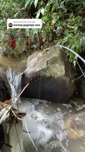 Nekat bikin joran super lentur narget ikan wader