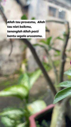 Jangan lelah untuk menjadi orang Baik  #islam  #nasehat  #quotes 